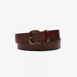 クラークス Casual Belt ブラウン | CLKS-84203